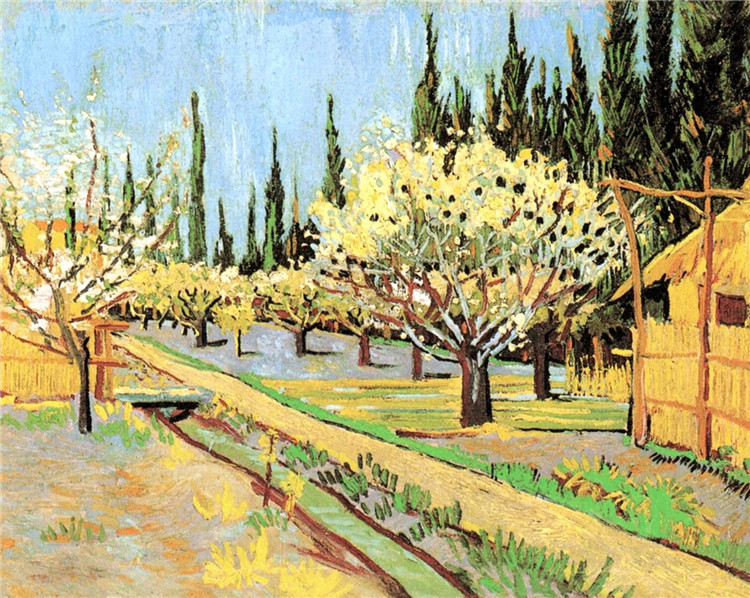 Orchard In Blossom, Bordered By Cypresses